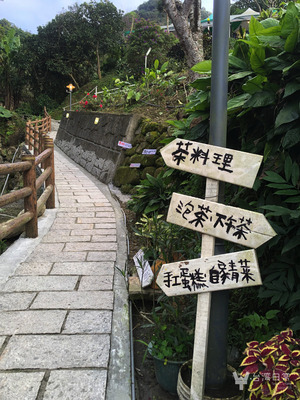 「清泉山荘」に続く道